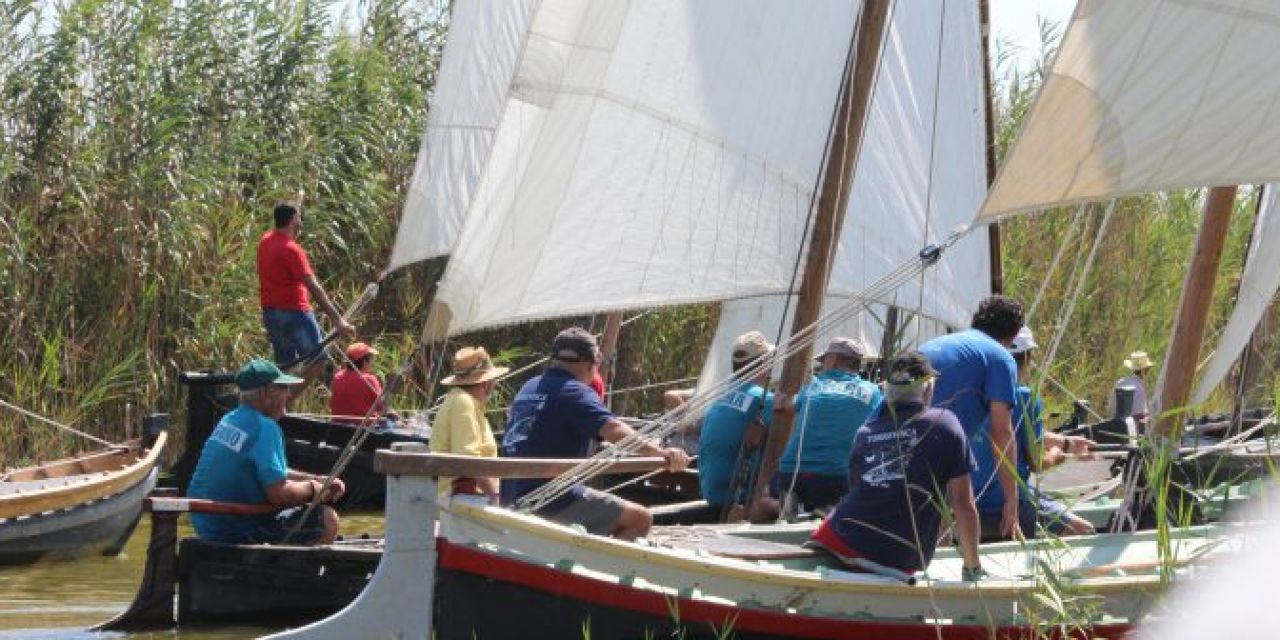  Las exhibiciones de Vela Latina de Silla comienzan en marzo 