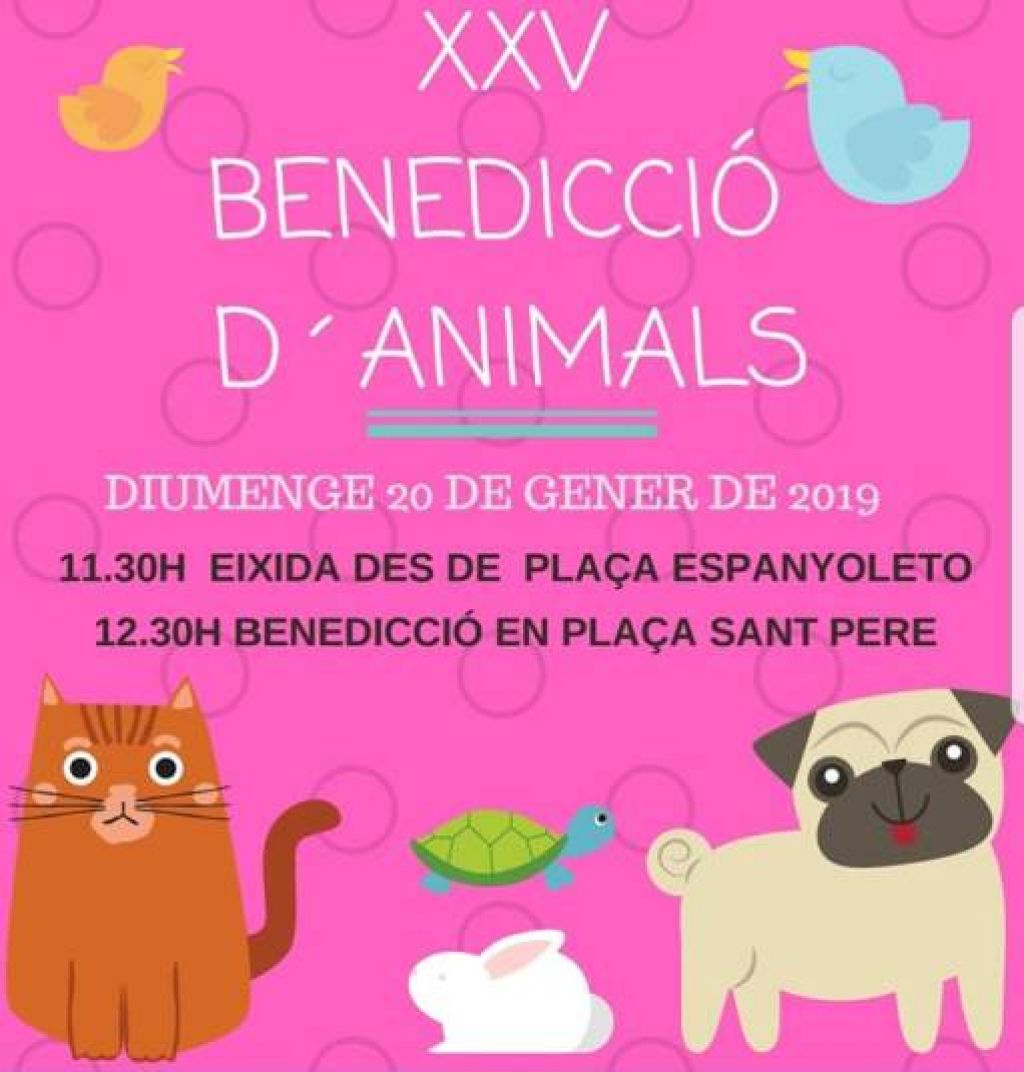  Bendición animales Játiva