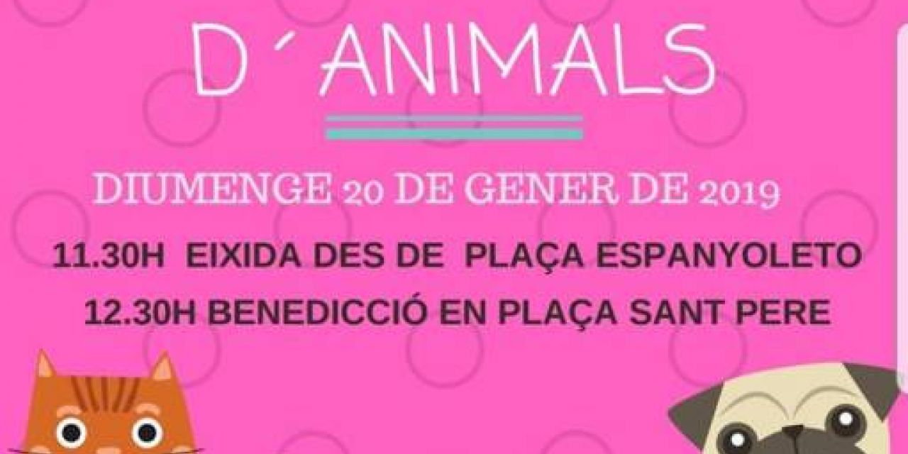  Bendición animales Játiva