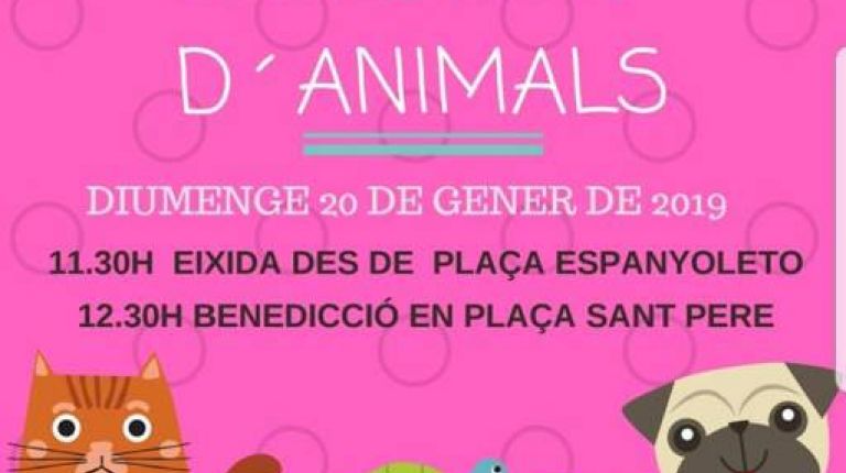 Bendición animales Játiva