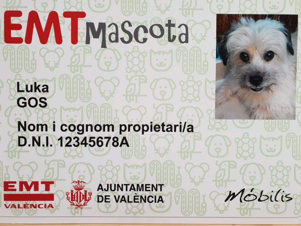  Los mascotas podrán acceder a los autobuses de la EMT