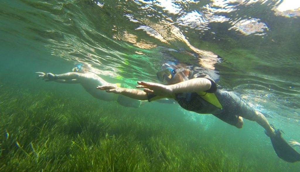  Turisme Comunitat Valenciana elige Altea para desarrollar sus programas sobre turismo náutico y de buceo 