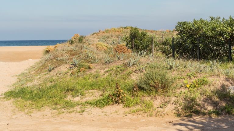 Todas las playas de Oliva mantienen sus altas calificaciones de calidad 