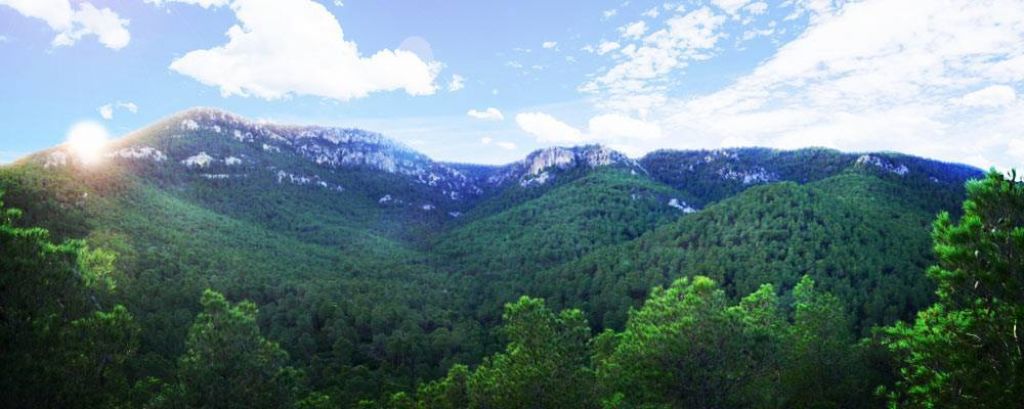  Villena ofrece al visitante un importante patrimonio natural  como la observación de aves