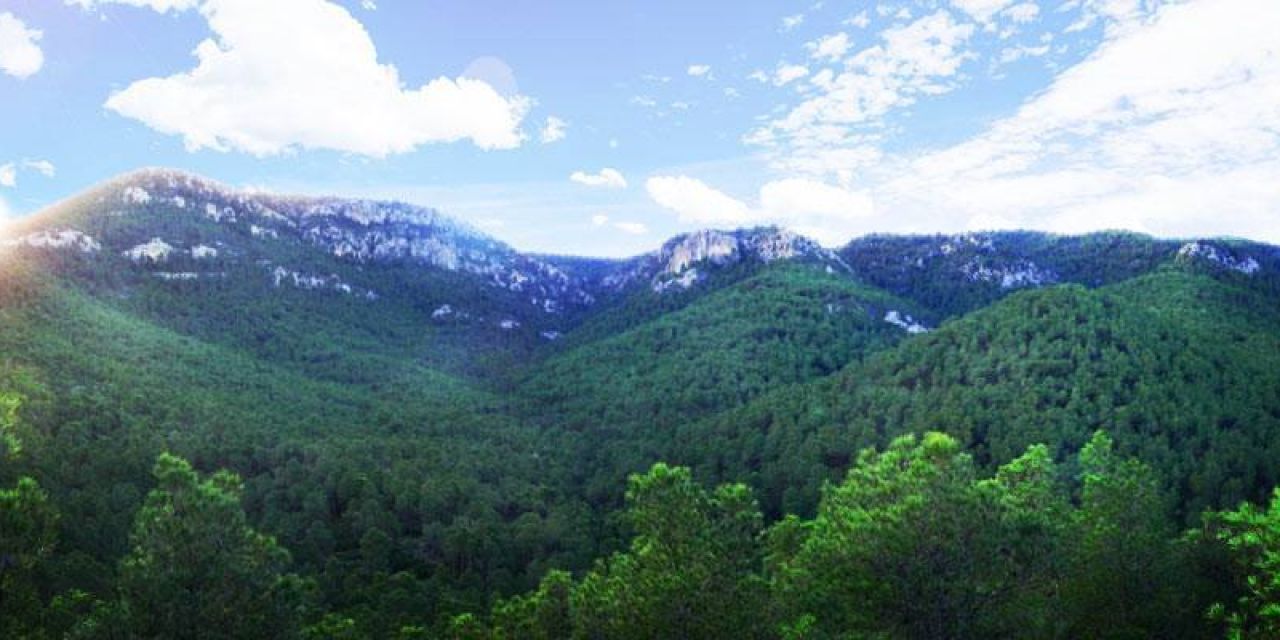  Villena ofrece al visitante un importante patrimonio natural  como la observación de aves