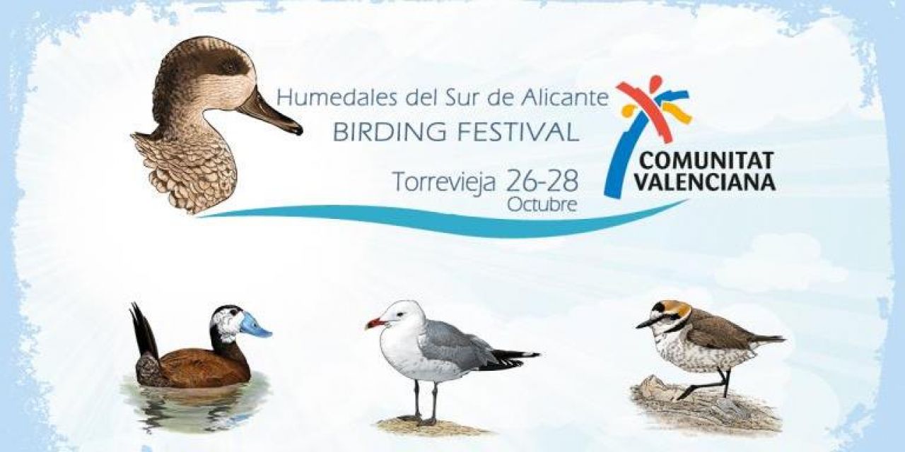  Torrevieja recibe al turismo ornitológico en el Birding Festival Comunitat Valenciana 