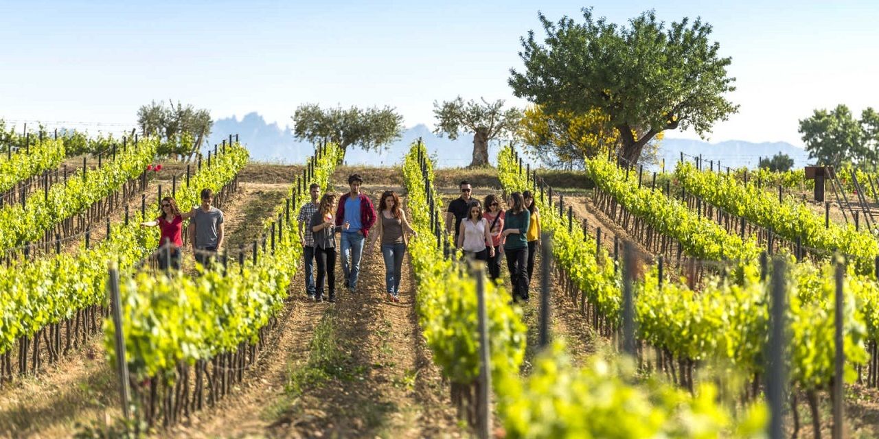  La repercusión del enoturismo en las Rutas del Vino de España aumenta un 20,5% en 2018