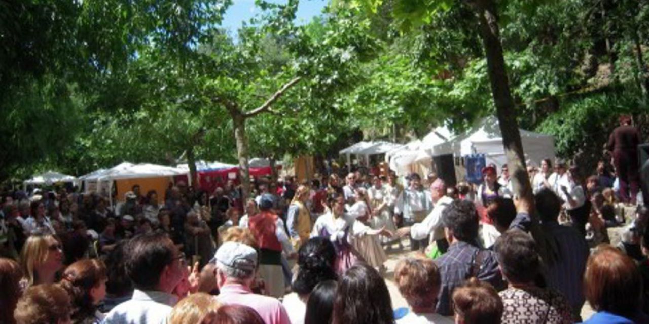  Viver celebra su XVIII Feria del Aceite de Oliva 
