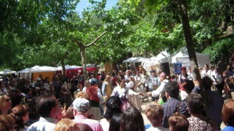 Viver celebra su XVIII Feria del Aceite de Oliva 