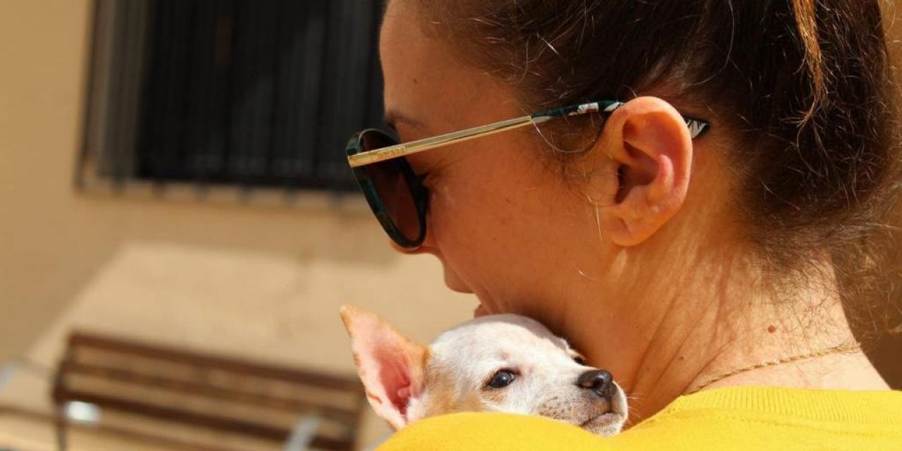  L’Alfàs acoge un festival para favorecer la adopción de animales 