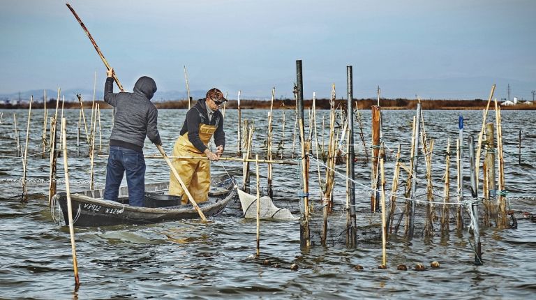 Pescadores de la Bretaña y el mediterráneo francés han participado en la Primera Mostreta de Pesca Artesanal 