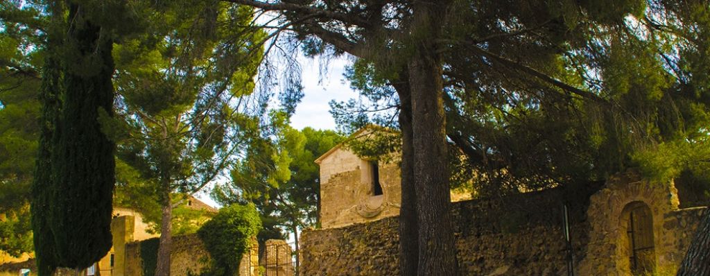  I Jornadas de Trashumancia y ruta con los pastores por el término de Altura