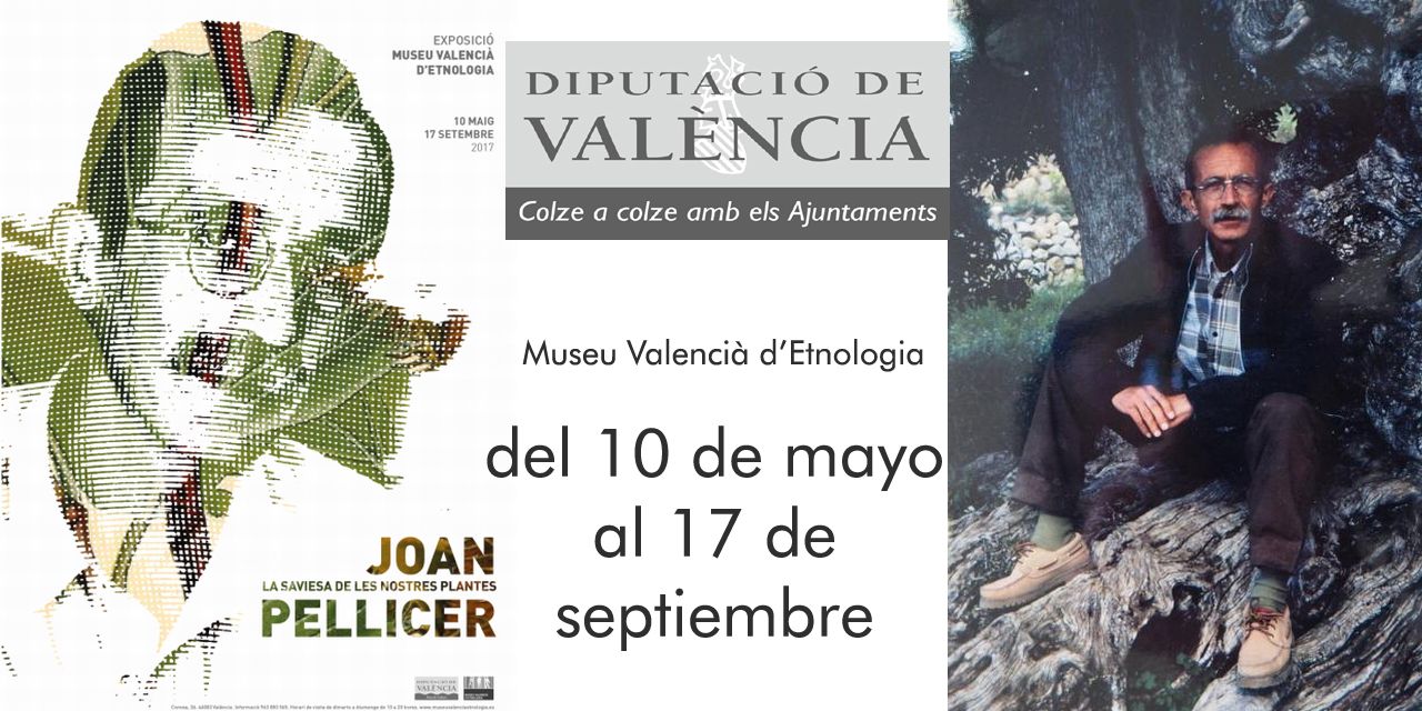  El Museu Valencià d’Etnologia presenta la exposición Joan Pellicer, la saviesa de les nostres plantes