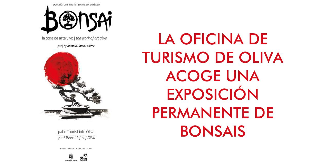 Exposición permanente de Bonsais en la Oficina de Turismo de Oliva 