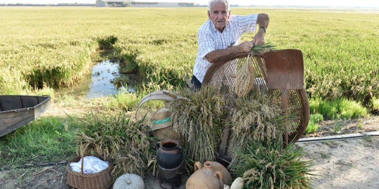  La Fiesta de la Siega supera la del año pasado y llega a más de 3.000 asistentes