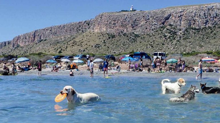 La Caleta dels Gossets de Santa Pola gana el premio Travelguau como mejor destino turístico Pet-Friendly 