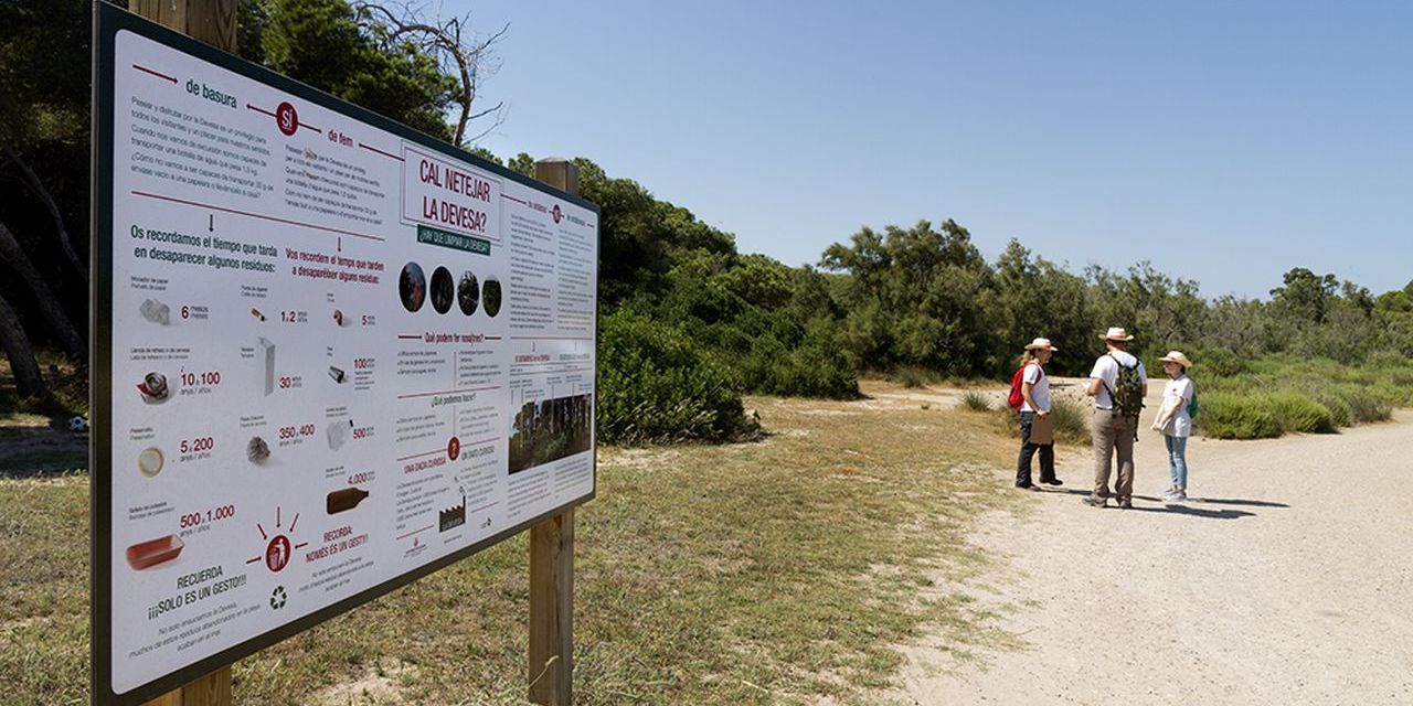  Cruz Roja identifica más de 100 puntos que requieren atención en la Devesa de l’Albufera 