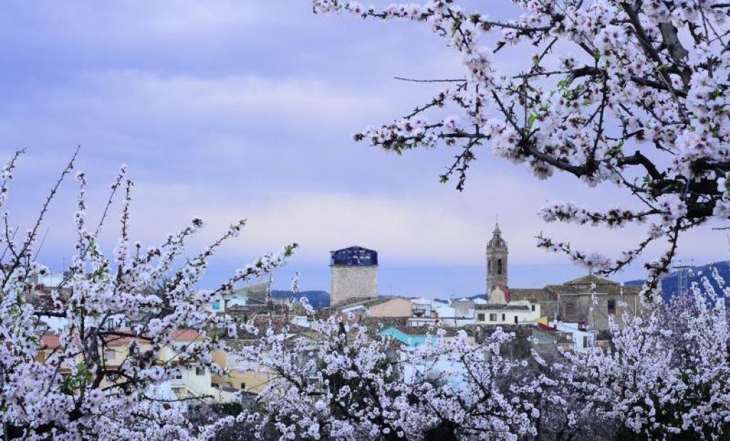  El esplendor de los almendros en ‘Alcalalí en flor’ acompañados de la Feria de la Tapa